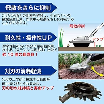 615LIpVt+7L._UF350,350_QL80_.jpg